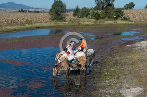 Drinking on the Trail