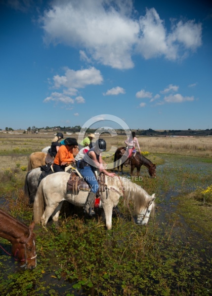 Drinking on the Trail
