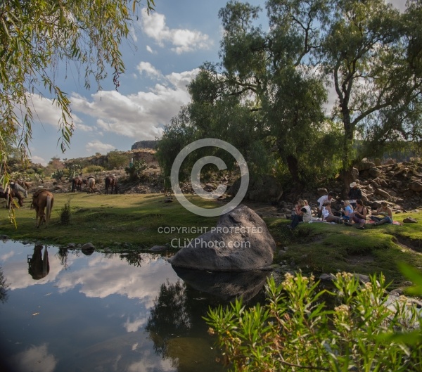 Picnic by the River