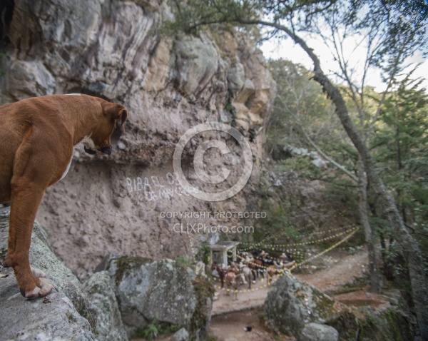 Ride to La Copa and Moonrock