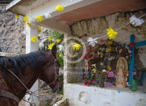 Ride to La Copa and Moonrock