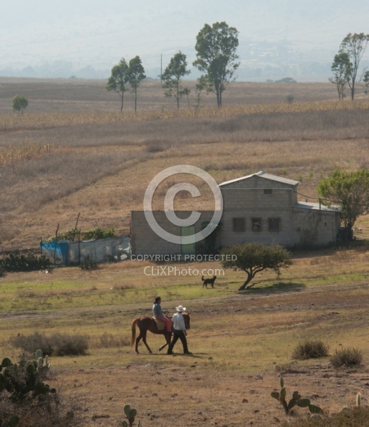 Rural Mexico