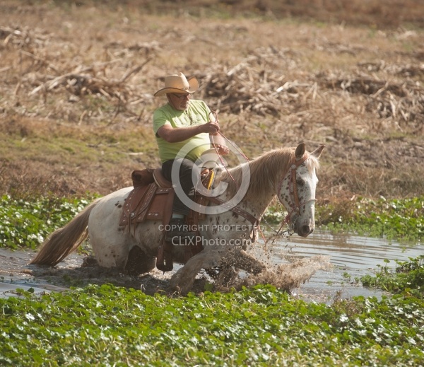 Water Crossings in Mexico