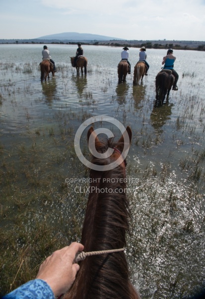 Water Crossings in Mexico