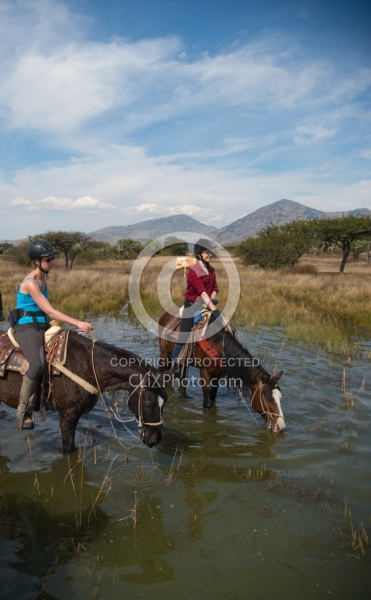 Water Crossings in Mexico