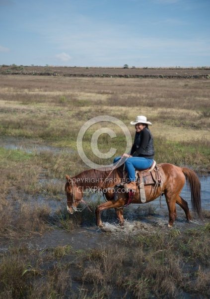 Water Crossings in Mexico