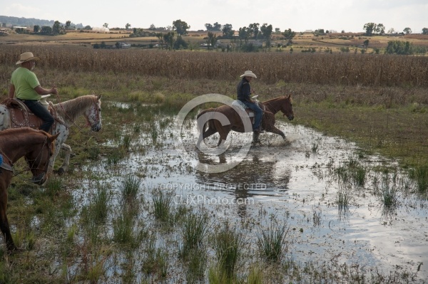 Water Crossings in Mexico