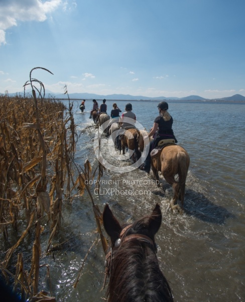 Water Crossings in Mexico