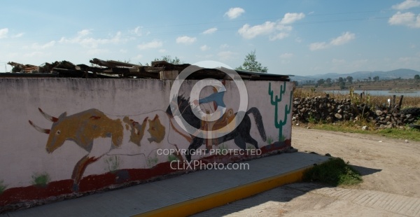 Through the Villages