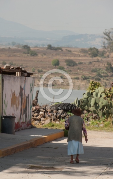 Through the Villages