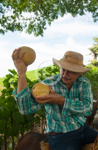 Stanley with Cantaloupe on the Trail