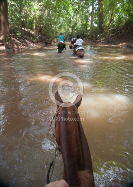 Riding in the River