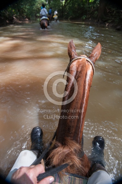 Riding in the River
