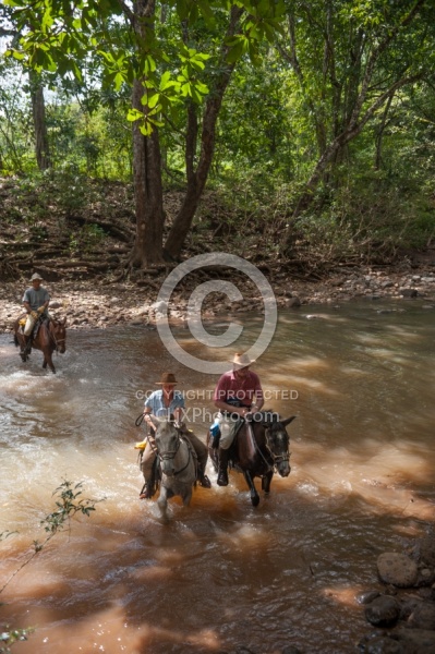 Riding in the River