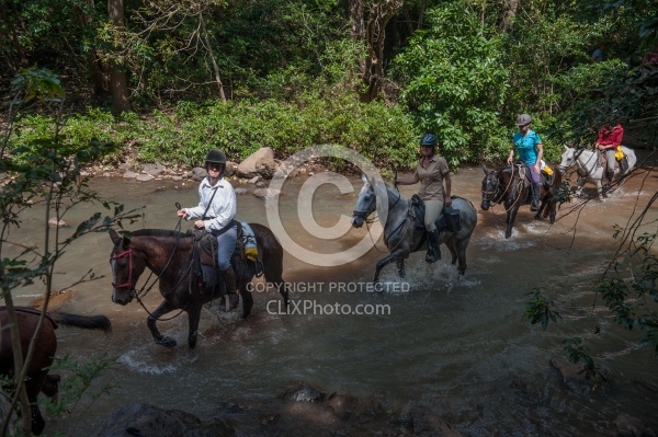 Riding in the River