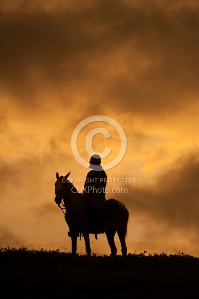 Ali at Sunset and Silhouettes near Mara Villa