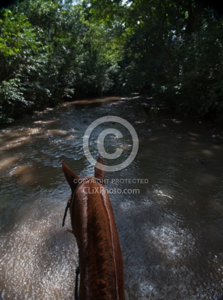 River Ride near Maravilla