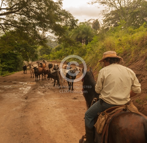 On the Trail Near Maravilla