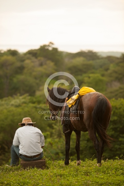 On the Trail Near Maravilla