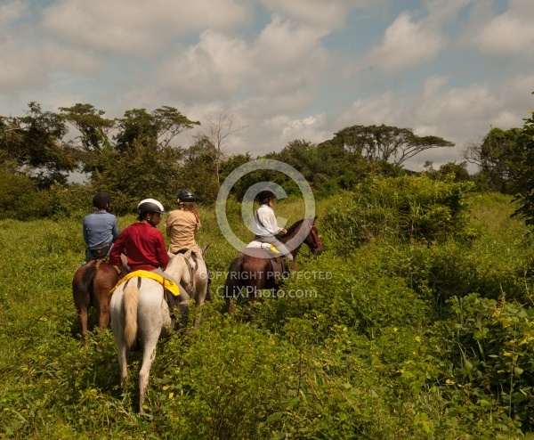 On the Trail Near Maravilla