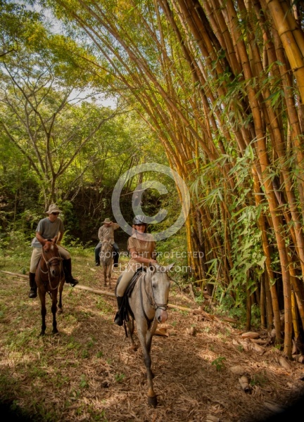 On the Trail Near Maravilla