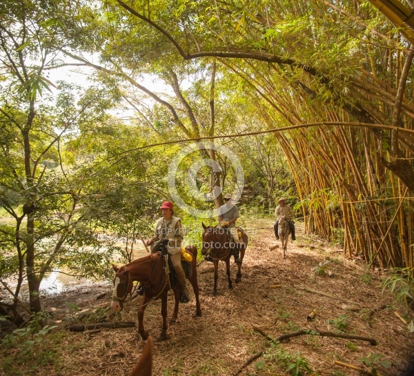 On the Trail Near Maravilla