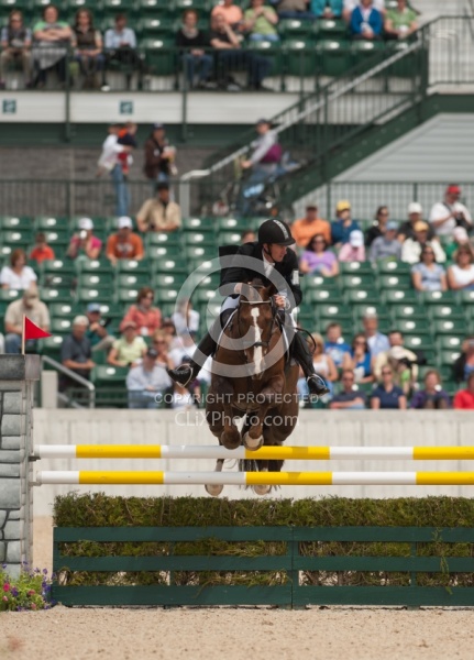 Peter Atkins and Henry Jota Hampton