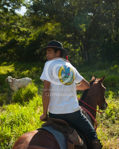 On the Trail at La Ensenada