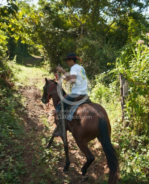 On the Trail at La Ensenada