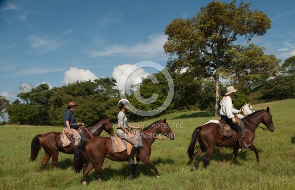 On the Trail at La Ensenada