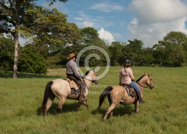 On the Trail at La Ensenada