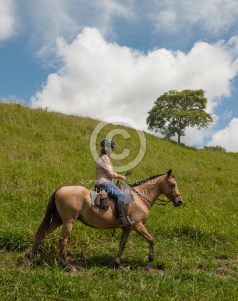 On the Trail at La Ensenada