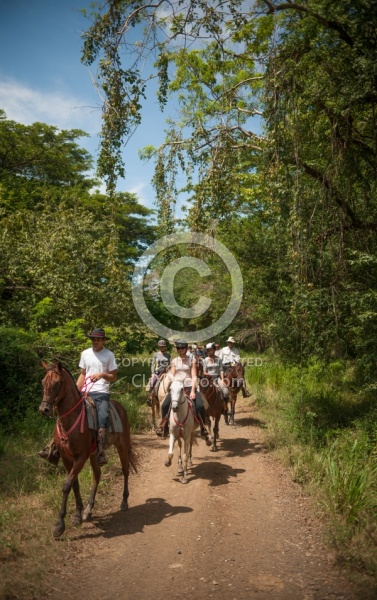 On the Trail at La Ensenada