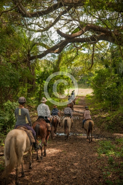 On the Trail at La Ensenada