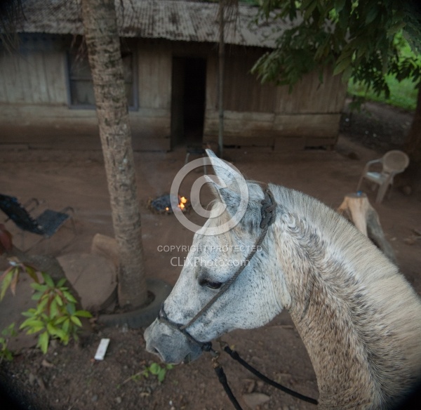 On the Trail at La Ensenada