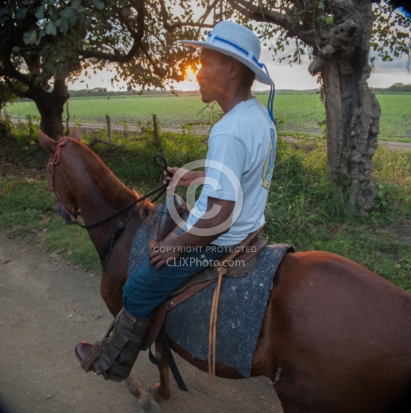 On the Trail at La Ensenada
