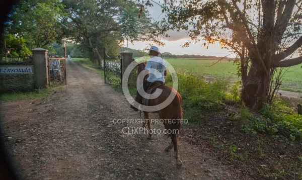 On the Trail at La Ensenada
