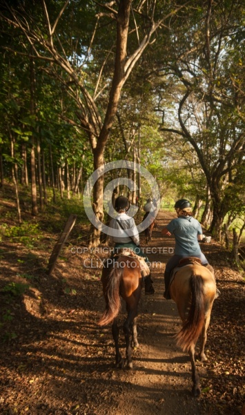 On the Trail at La Ensenada