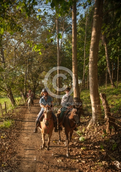 On the Trail at La Ensenada