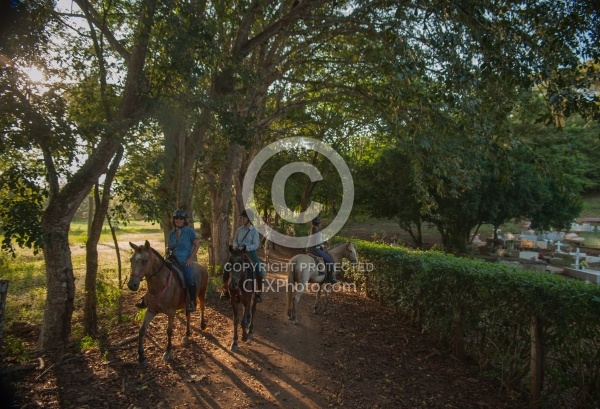 On the Trail at La Ensenada