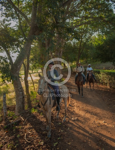 On the Trail at La Ensenada