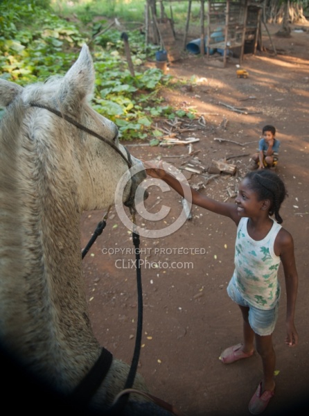 On the Trail at La Ensenada