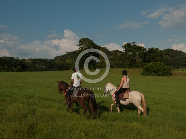 On the Trail at La Ensenada