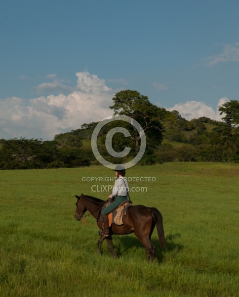 On the Trail at La Ensenada