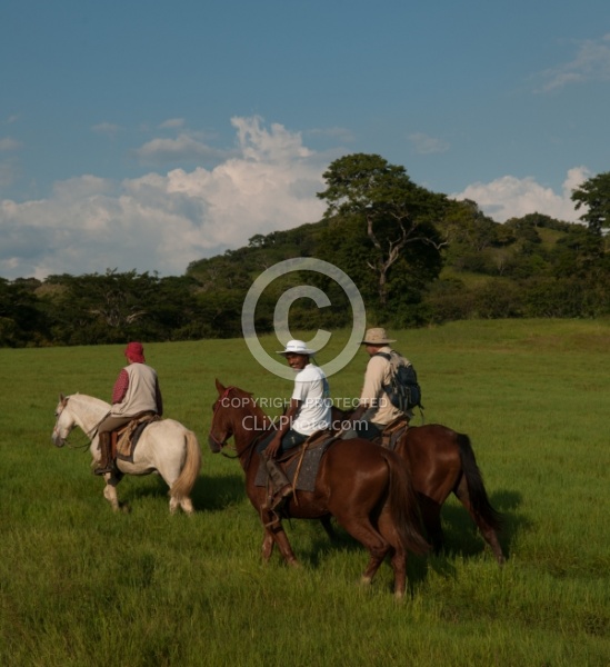 On the Trail at La Ensenada