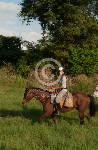 On the Trail at La Ensenada