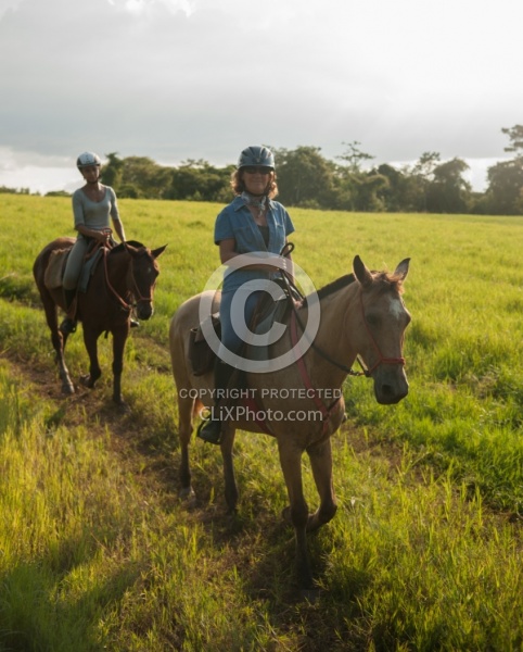 On the Trail at La Ensenada
