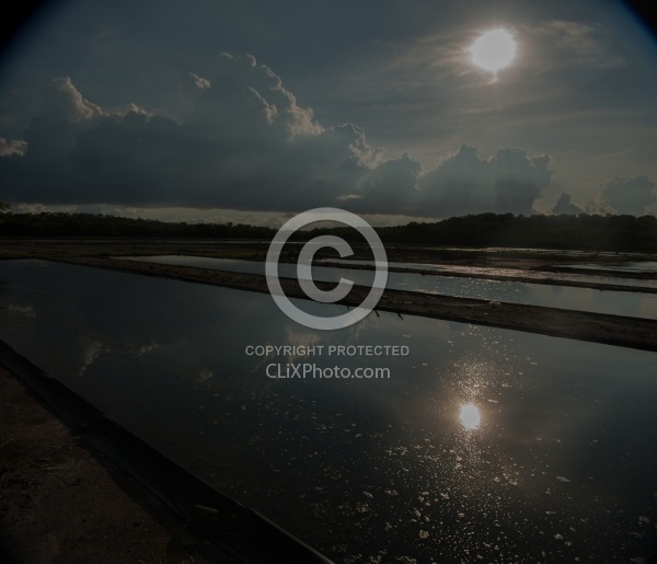 On the Trail at La Ensenada