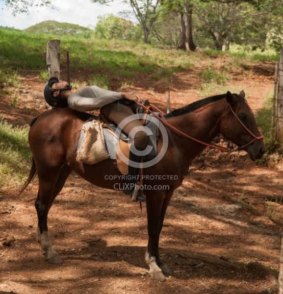 On the Trail at La Ensenada
