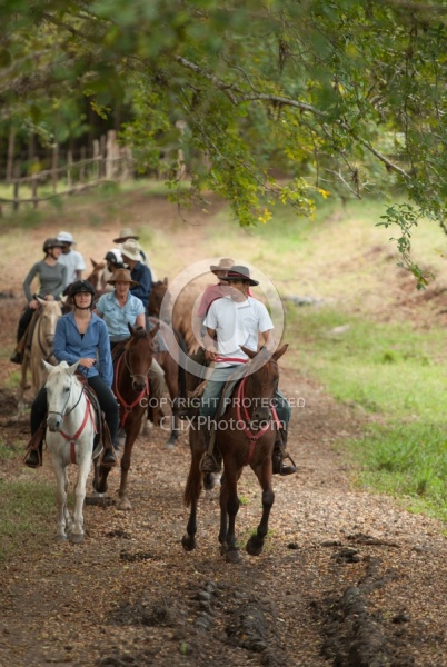 On the Trail at La Ensenada